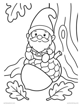 Printable adult coloring page: gnome on a giant acorn.