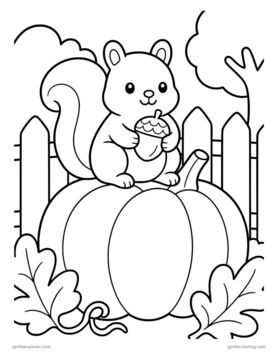 Printable adult coloring page: squirrel on a pumpkin.