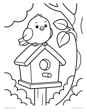 Printable adult coloring page: bird on a birdhouse.